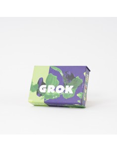 GROK Kaartspel - De Aanstokerij