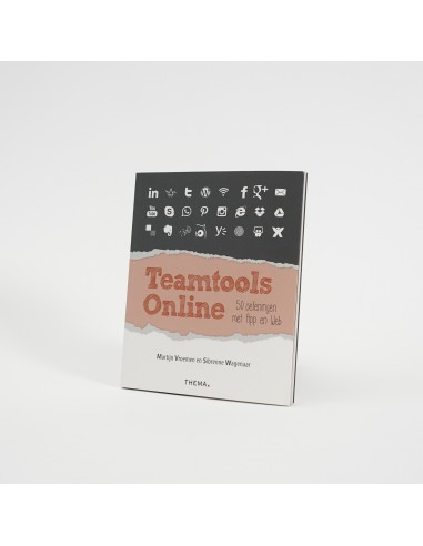 Teamtools online - De Aanstokerij