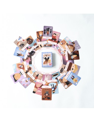 Dit zijn mijn emoties - De Aanstokerij